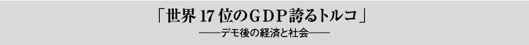 「世界17位のＧＤＰ誇るトルコ」─デモ後の経済と社会─