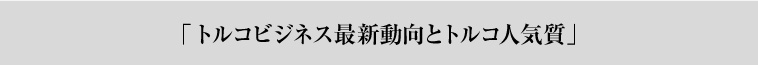 トルコビジネス最新動向とトルコ人気質」